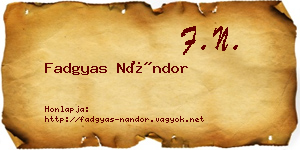 Fadgyas Nándor névjegykártya